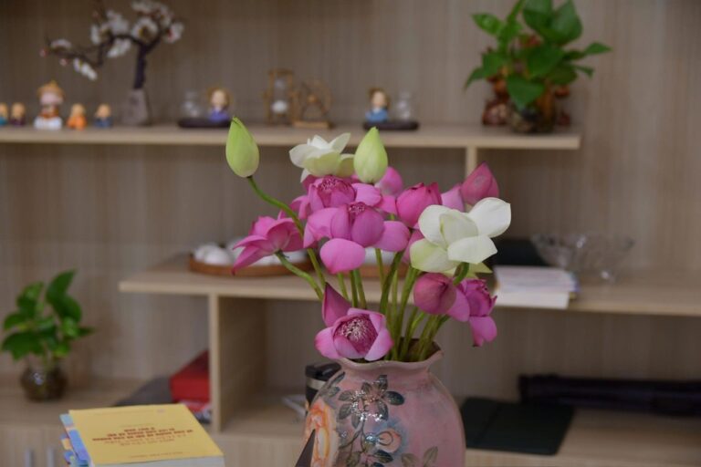 Khi Hiểu Về Bản Sắc Văn Hóa Dân Tộc, Tôi Mới Hiểu Vì Sao Mình Yêu Việt Nam Hơn